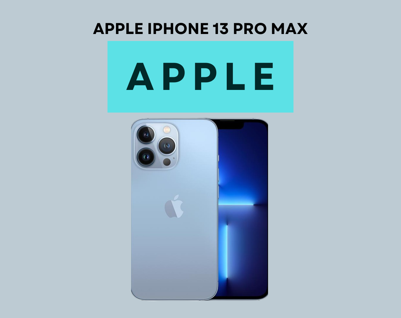 Apple iPhone 13 Pro Max